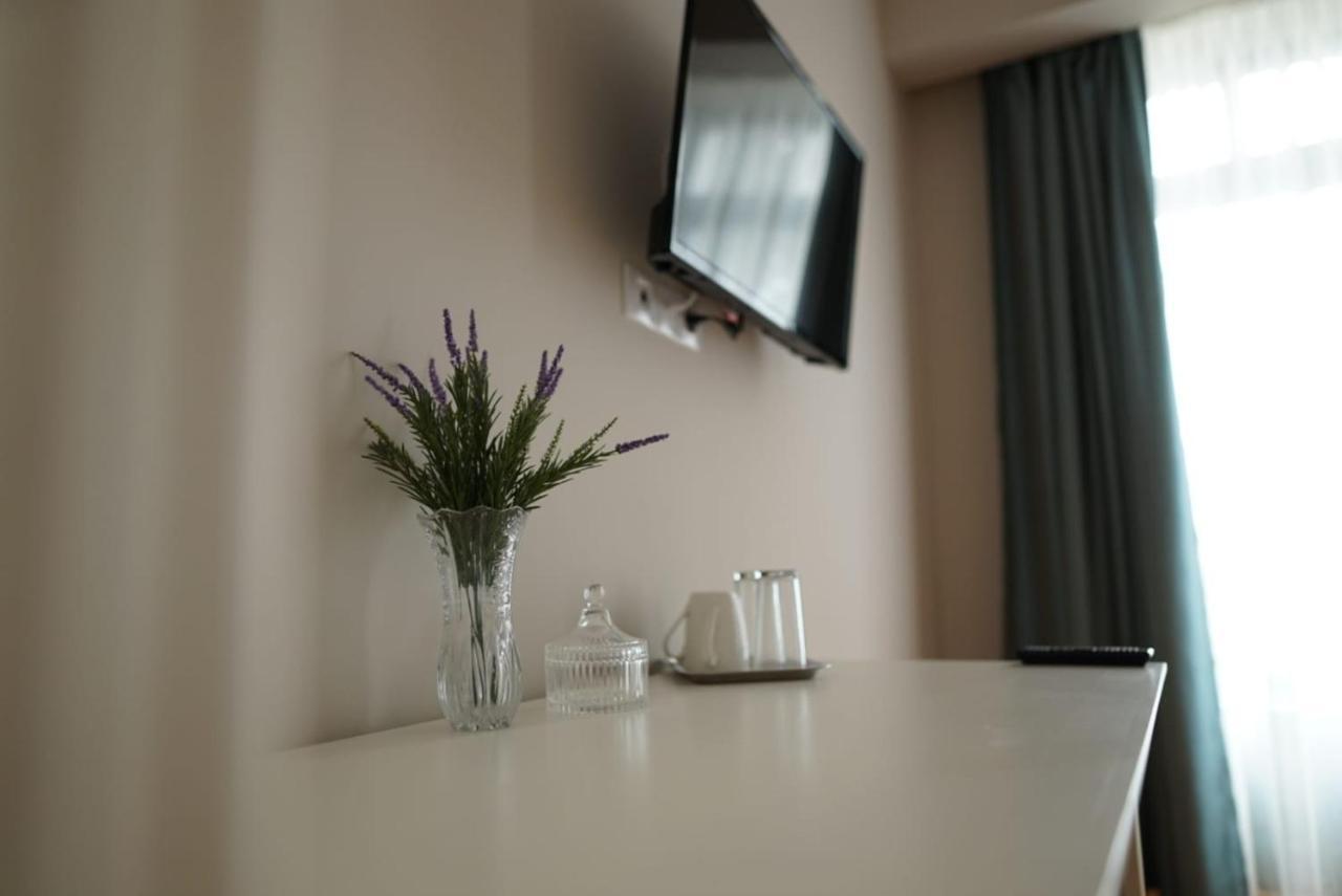 Green Villa Sibiu Extérieur photo